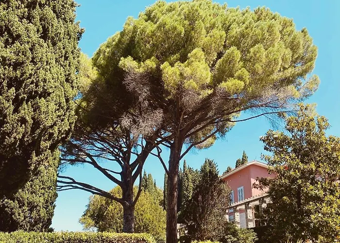 Szálloda Tartini 4*